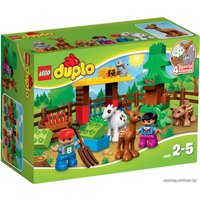 Конструктор LEGO 10582 Forest: Animals