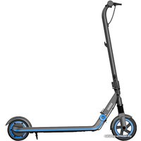 Электросамокат Ninebot Zing E10