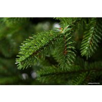 Ель GreenTerra Аляска (светлая) 2.2 м