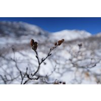 Объектив Sony FE 16-25mm F2.8 G