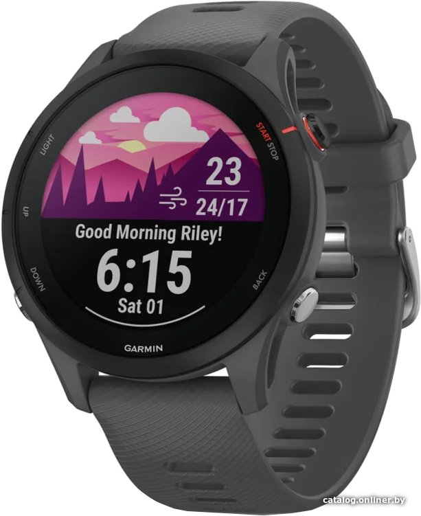 Умные часы Garmin Forerunner 255 (сланцево-серый/черный)