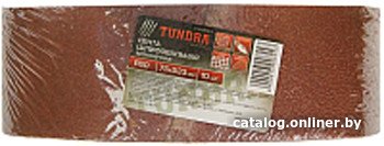 Набор шлифлент Tundra 1300824 (10 шт)