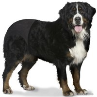 Трусы гигиенические  Duvo Plus Dog Pants XXL
