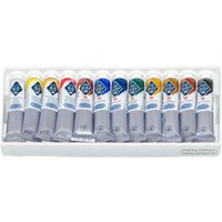 Темперные краски Мастер Класс № 1 1641007/16412095 (12цв.х18 мл)