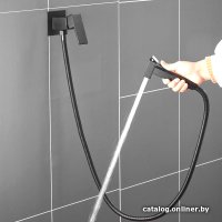 Гигиенический душ Shevanik S127H