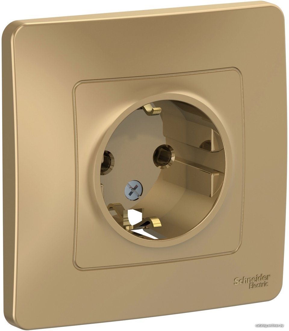 Розетка Schneider Electric BLNRS001014