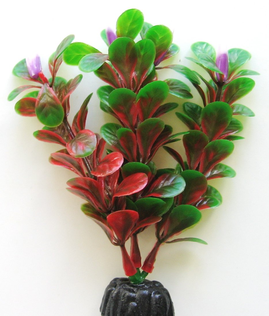 

Декорация Barbus Людвигия ползучая Plant 022/10 (красный)