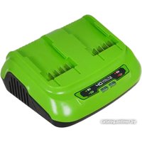 Зарядное устройство Greenworks G40UC8 (2x40В)