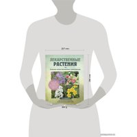 Книга издательства Эксмо. Лекарственные растения. Большая иллюстрированная энциклопедия (Ильина Татьяна Александровна)