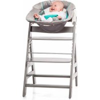 Шезлонг Hauck Alpha 2 в 1 66197-0 (Stretch Grey)