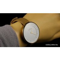 Наручные часы Skagen SKW2137 в Пинске