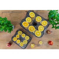 Сушилка для овощей и фруктов Goetze & Jensen FD800