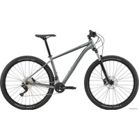 Велосипед Cannondale Trail 4 29 XXL 2020 (серый)