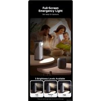 Внешний аккумулятор Romoss PMT40 Pro 40000mAh (черный)