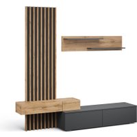 Шкаф-купе Империал Риана 2.07 (вотан/антрацит) в Бресте