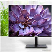 Монитор IRBIS ISM24FIDVesa