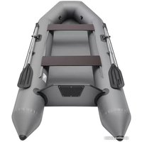 Моторная лодка Roger Boat Standart-SL 2800 (серый)