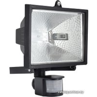 Уличный прожектор ETP RFG 005 500W 33508