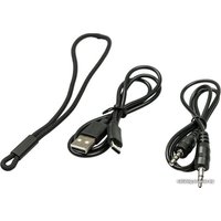 Беспроводная колонка Dialog AP-11 (черный)