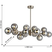 Подвесная люстра Favourite Varietas 2650-14P
