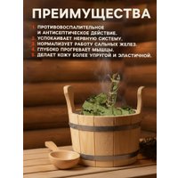 Банный веник Добропаровъ Дубовый 2691838