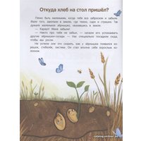  Феникс. 100 профессий. Энциклопедия для малышей в сказках (Ульева Елена Александровна)