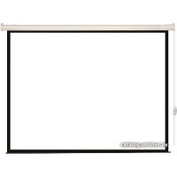 Проекционный экран Lumien Eco Control 198x300 LEC-100112