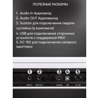 Цифровое пианино Aiwa ASZ-88W