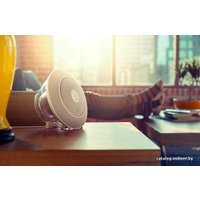 Беспроводная колонка JBL Voyager