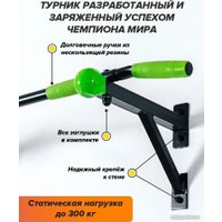 Турник Absolute Champion Aktiv Maх (черный/салатовый)