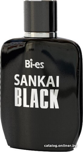 Туалетная вода BI-ES Sankai Black EdT (100 мл)