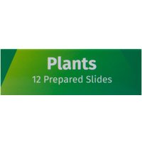 Набор микропрепаратов Levenhuk LabZZ P12 72869 (растения) в Гомеле