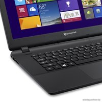 Ноутбук Packard Bell EasyNote TF71BM-C36P (NX.C3SER.007)
