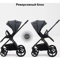 Универсальная коляска Rant Teo Soft RA121 (2 в 1, graphite)