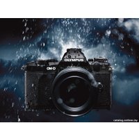 Беззеркальный фотоаппарат Olympus OM-D E-M5 Mark II Kit 12-50mm