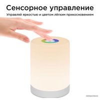 Ночник Evolution 1001