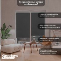 Рулонные шторы Sundays Home LM 167-07 78х215 (темно-серый)