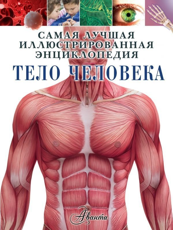 

Книга издательства АСТ. Тело человека 978-5-17-110804-5 (Хибберт Клэр)