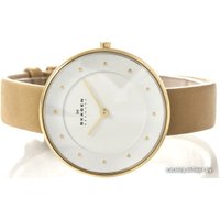 Наручные часы Skagen SKW2137 в Пинске