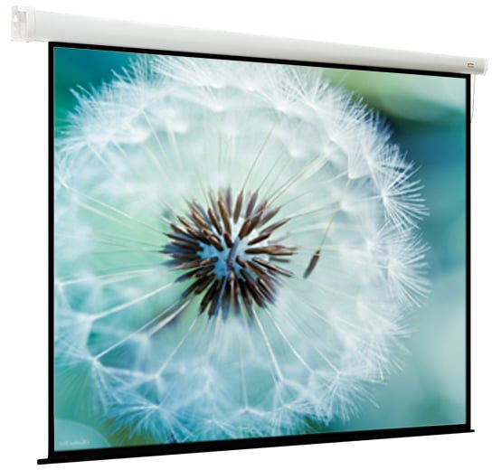 

Проекционный экран ViewScreen Breston 220х163 EBR-16909