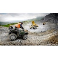 Квадроцикл Yamaha Grizzly 700 EPS