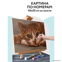 Картина по номерам Три совы Рыжик КХ_44173