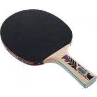 Набор для настольного тенниса Donic-Schildkrot Legends 800 788488