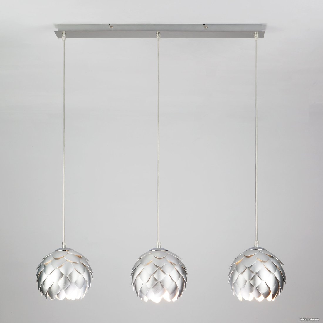 Bogate's Cedro 304/3
