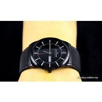 Наручные часы Skagen SKW6006