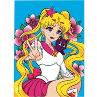 Алмазная мозаика  Школа талантов Лунная принцесса 9929745