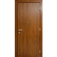 Металлическая дверь Стальная Линия Хаски глухой для дома