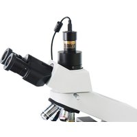 Камера цифровая ToupCam SCMOS02100KPB 28606