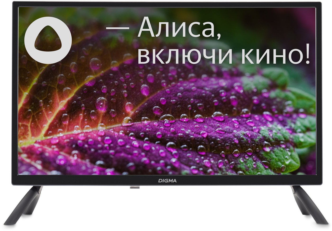 

Телевизор Digma DM-LED24SBB31