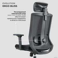 Офисное кресло Evolution ERGO BLISS Grey (серый)